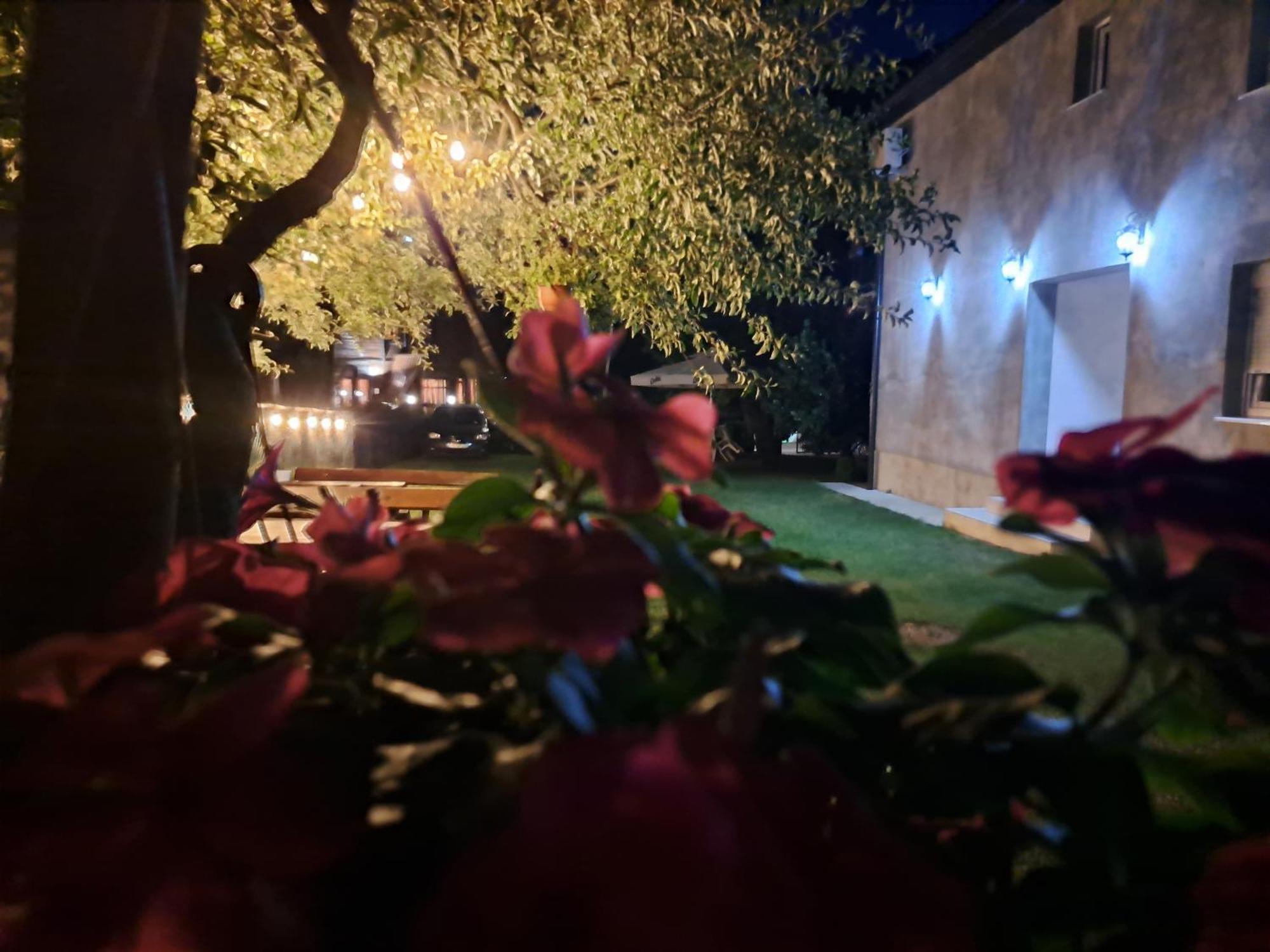 Rooms Lida & Friendly Home Plav Esterno foto